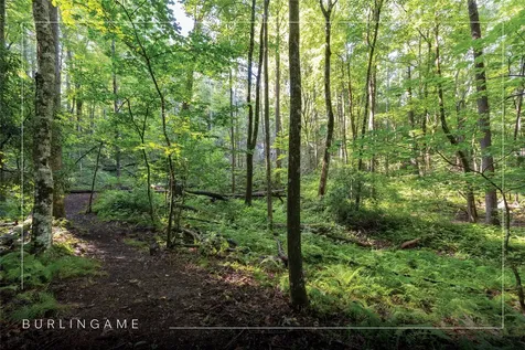 63B Big Pine Road Sapphire NC 28774