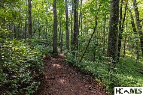 63B Big Pine Road Sapphire NC 28774