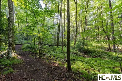 63B Big Pine Road Sapphire NC 28774