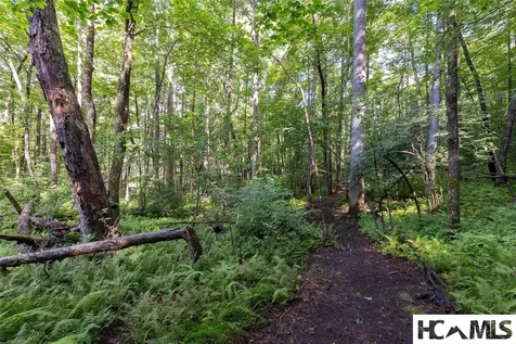63B Big Pine Road Sapphire NC 28774