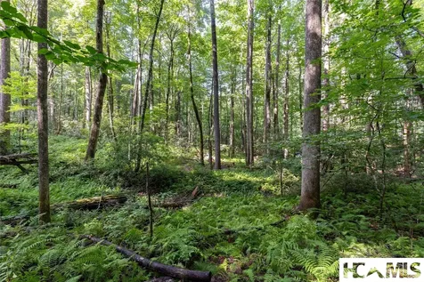 63B Big Pine Road Sapphire NC 28774