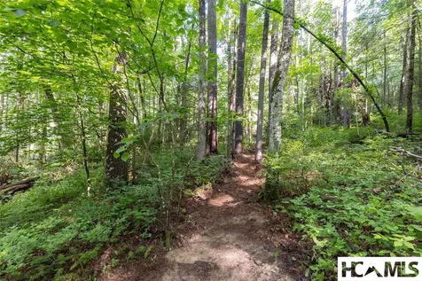 63B Big Pine Road Sapphire NC 28774