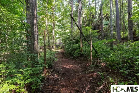 63B Big Pine Road Sapphire NC 28774