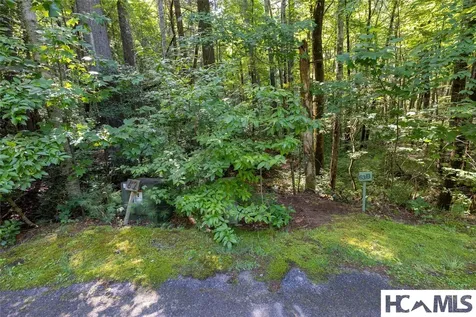 63B Big Pine Road Sapphire NC 28774