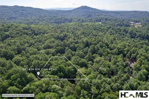 63B Big Pine Road Sapphire NC 28774