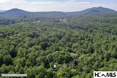 63B Big Pine Road Sapphire NC 28774