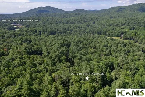 63B Big Pine Road Sapphire NC 28774