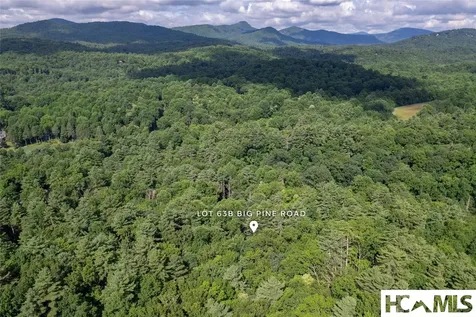 63B Big Pine Road Sapphire NC 28774