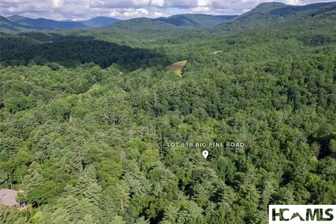 63B Big Pine Road Sapphire NC 28774