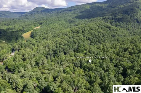 63B Big Pine Road Sapphire NC 28774