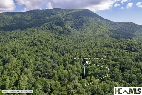 63B Big Pine Road Sapphire NC 28774