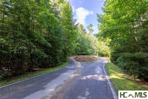 63B Big Pine Road Sapphire NC 28774