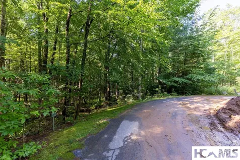 63B Big Pine Road Sapphire NC 28774