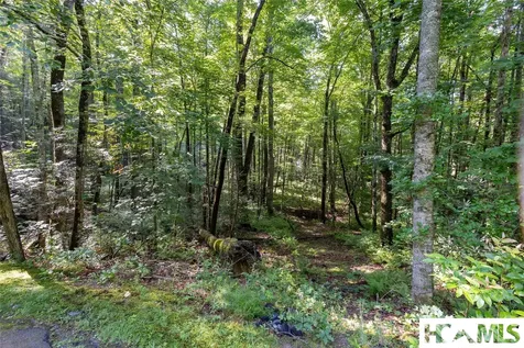 63B Big Pine Road Sapphire NC 28774