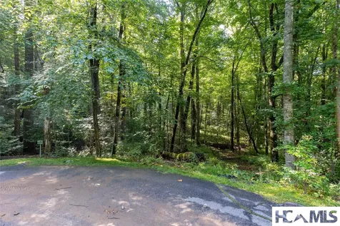 63B Big Pine Road Sapphire NC 28774