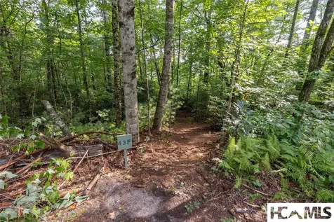 43 Fr Running Fox Road Sapphire NC 28774
