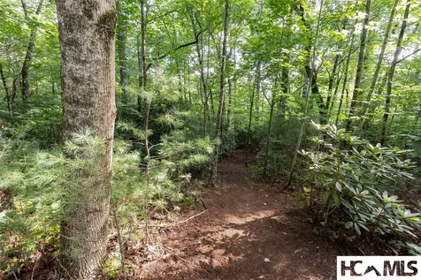 43 Fr Running Fox Road Sapphire NC 28774