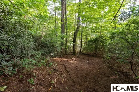 43 Fr Running Fox Road Sapphire NC 28774