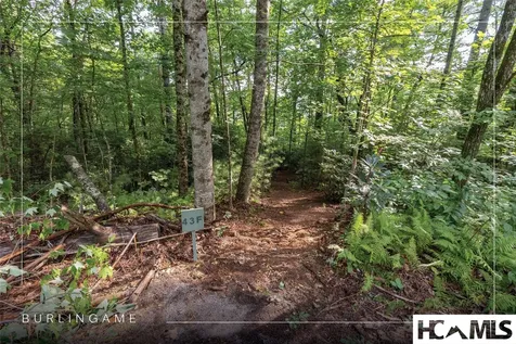 43 Fr Running Fox Road Sapphire NC 28774