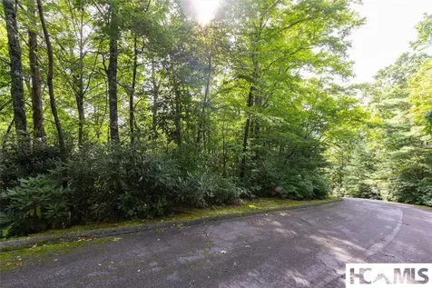43 Fr Running Fox Road Sapphire NC 28774