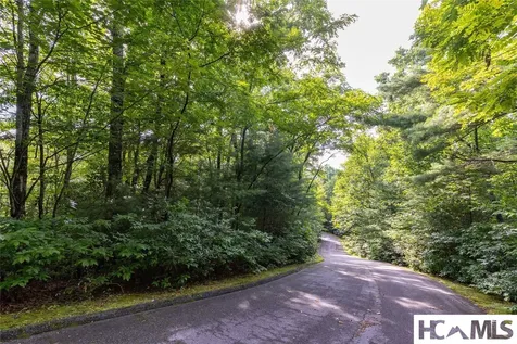 43 Fr Running Fox Road Sapphire NC 28774