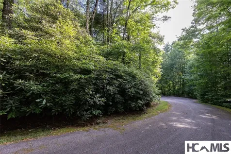 43 Fr Running Fox Road Sapphire NC 28774