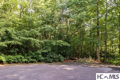 43 Fr Running Fox Road Sapphire NC 28774