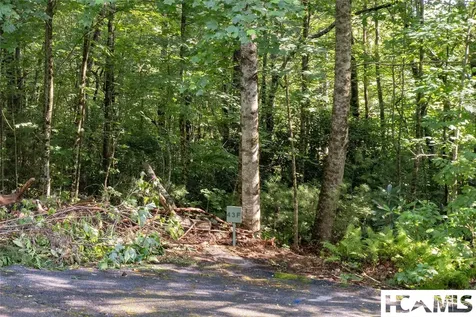 43 Fr Running Fox Road Sapphire NC 28774