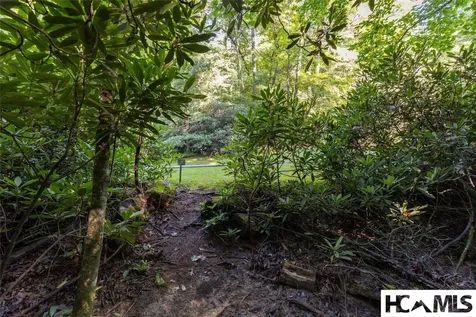 46DR Winding Creek Road Sapphire NC 28774