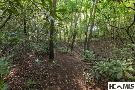 46DR Winding Creek Road Sapphire NC 28774