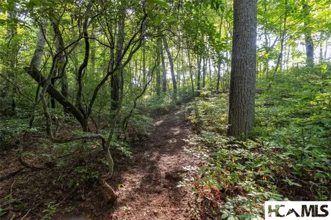 46DR Winding Creek Road Sapphire NC 28774