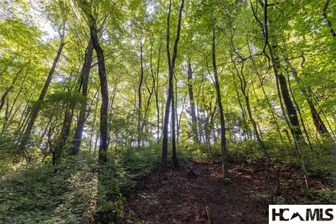 46DR Winding Creek Road Sapphire NC 28774