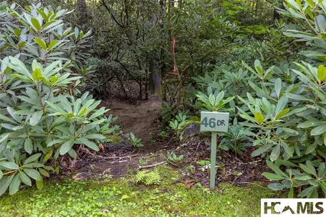 46DR Winding Creek Road Sapphire NC 28774