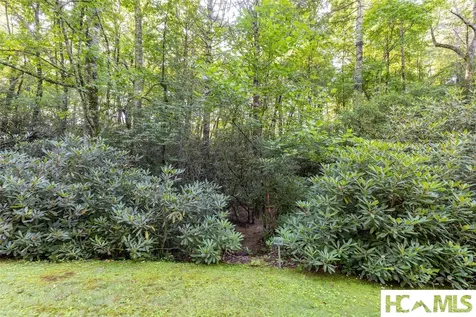 46DR Winding Creek Road Sapphire NC 28774