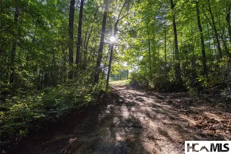 46DR Winding Creek Road Sapphire NC 28774