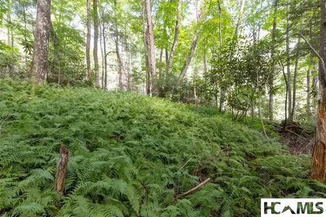 29C Rock Bridge Court Sapphire NC 28774