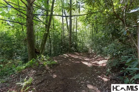 29C Rock Bridge Court Sapphire NC 28774