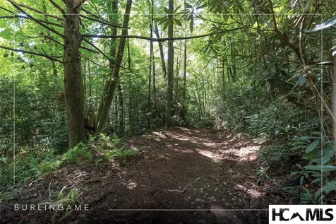 29C Rock Bridge Court Sapphire NC 28774
