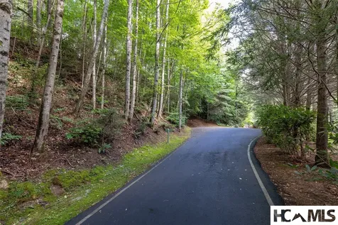 29C Rock Bridge Court Sapphire NC 28774