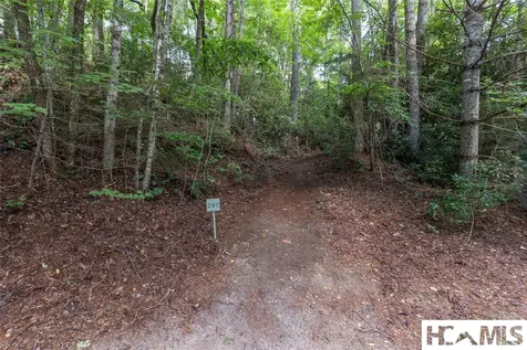 29C Rock Bridge Court Sapphire NC 28774