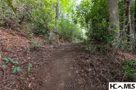 29C Rock Bridge Court Sapphire NC 28774