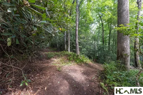 29C Rock Bridge Court Sapphire NC 28774
