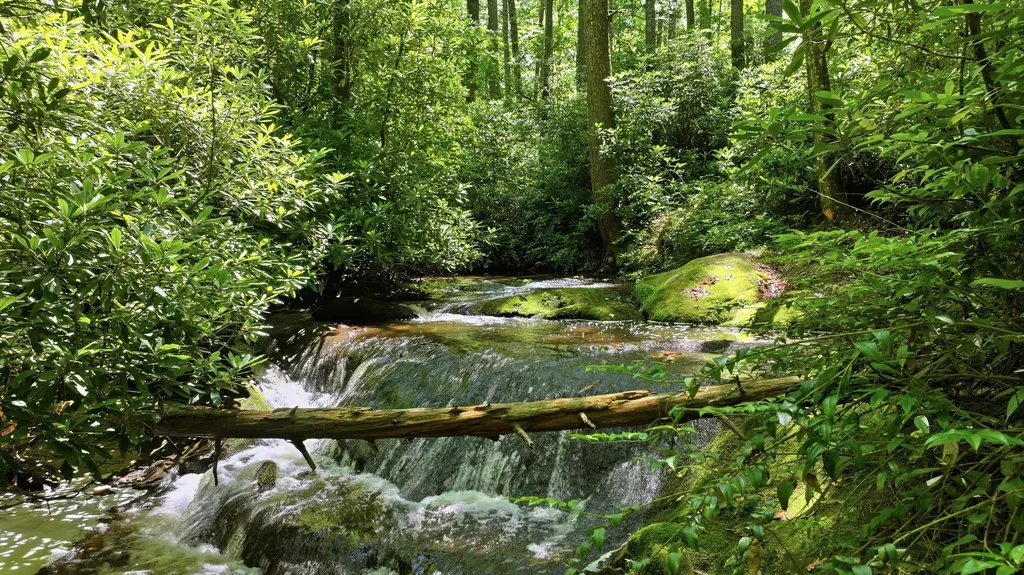 17 Wild River Road Cashiers NC 28717