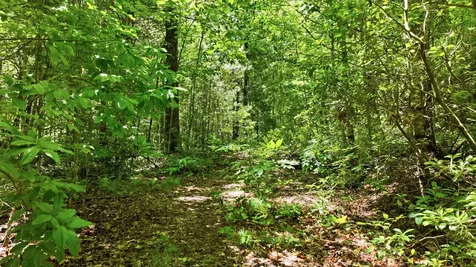 17 Wild River Road Cashiers NC 28717