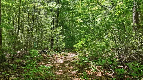 17 Wild River Road Cashiers NC 28717