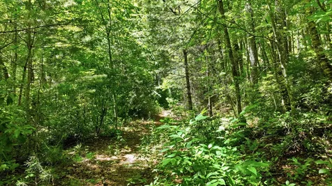 17 Wild River Road Cashiers NC 28717