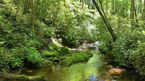 17 Wild River Road Cashiers NC 28717