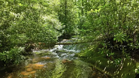 17 Wild River Road Cashiers NC 28717