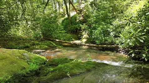 17 Wild River Road Cashiers NC 28717
