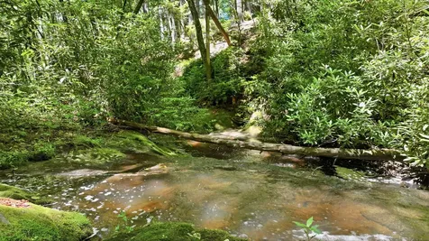 17 Wild River Road Cashiers NC 28717
